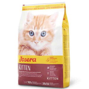 ג'וסרה חתול קיטן גור