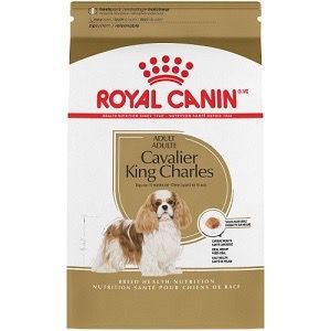 רויאל קנין קוואליר קינג צ'ארלס 3 ק''ג Cavalier King Charles Adult Dry Dog Food