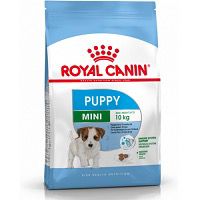 רויאל קנין 8 ק"ג לגורים מגזע קטן Puppy Mini