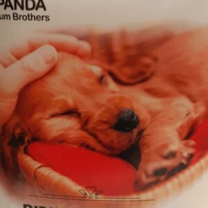 גולדן פנדה פדים 57X55 ס"מ (50 פדים) לאימון גורי כלבים Golden Panda