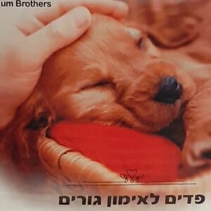 גולדן פנדה פדים 57X55 ס"מ (100 פדים) לאימון גורי כלבים Golden Panda