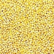 מזון דוחן לתוכונים שק 20 ק"ג